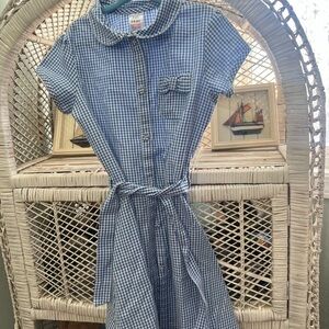 Blue gingham collared dress